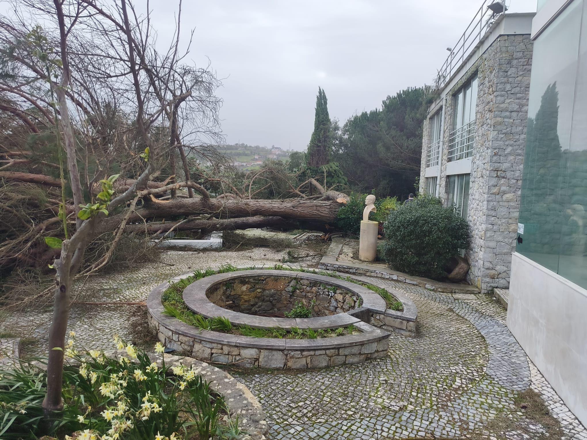 Imagem de destaque para a notícia Casa-Museu João Soares temporariamente encerrada